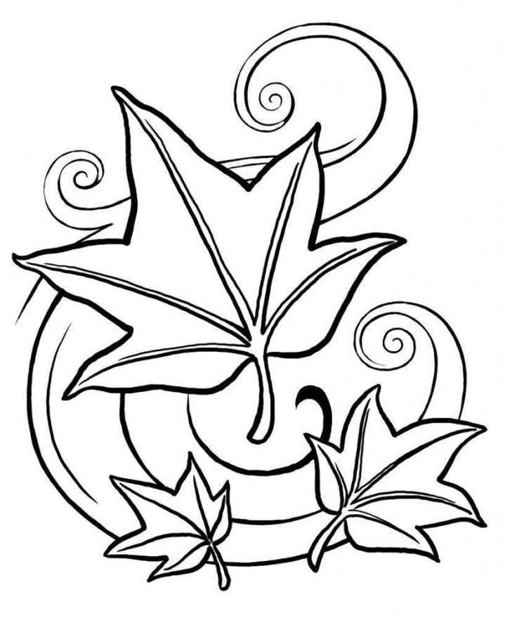 Espiral de Folhas Encantadas