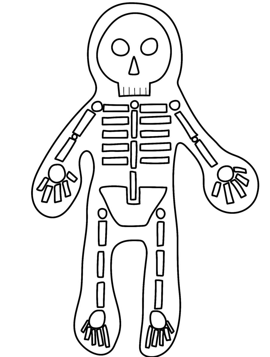 Esqueleto do corpo humano para colorir