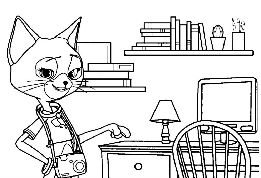 Explorando com os Gatos Fotógrafos