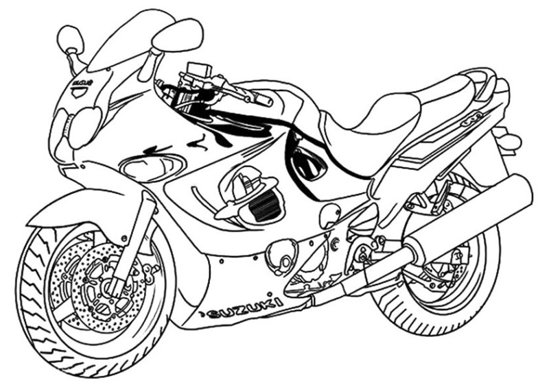 Explore a Speedy Ride