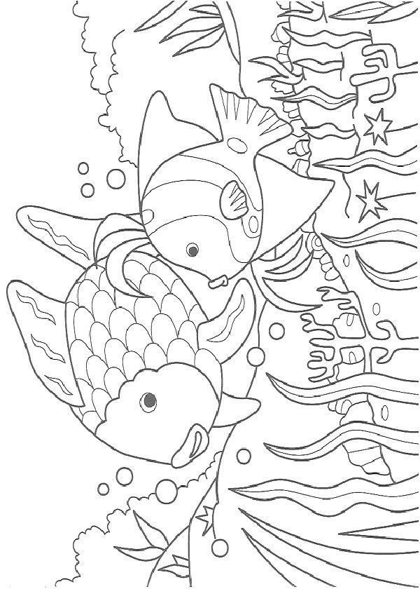 Fascinantes Peixes do Fundo do Mar