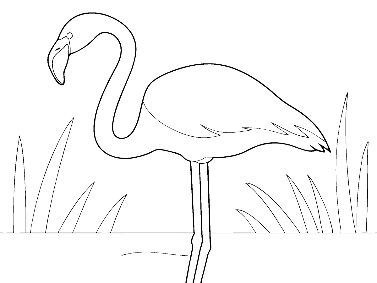 Flamingo de traço simples para colorir