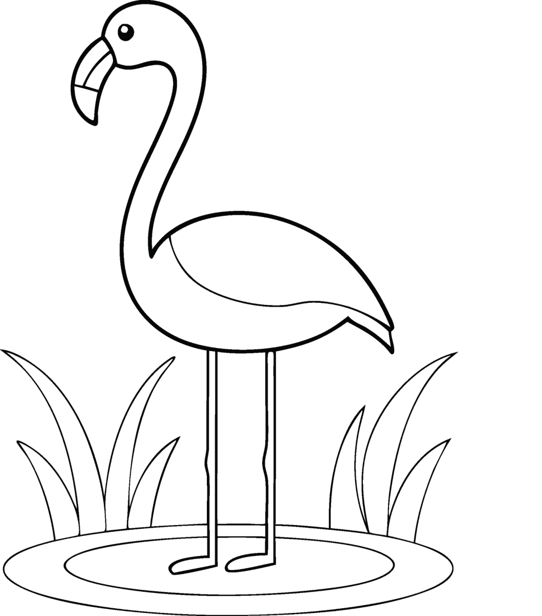 Flamingo em pé com as duas pernas para colorir