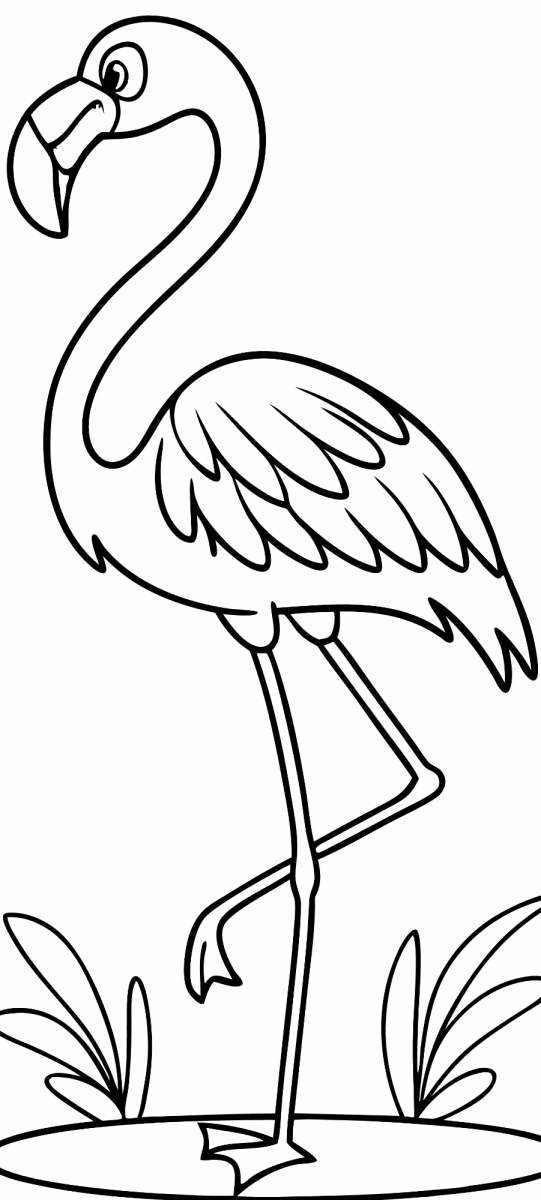 Flamingo entre capins em moldura para colorir
