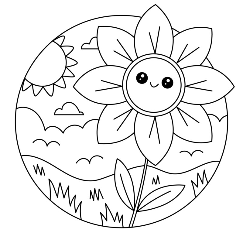 Flores Sorridentes ao Sol