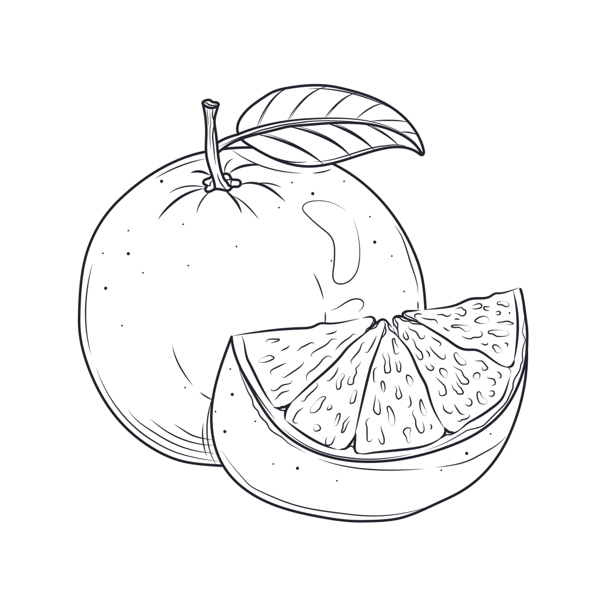 Frutas Cítricas para Colorir