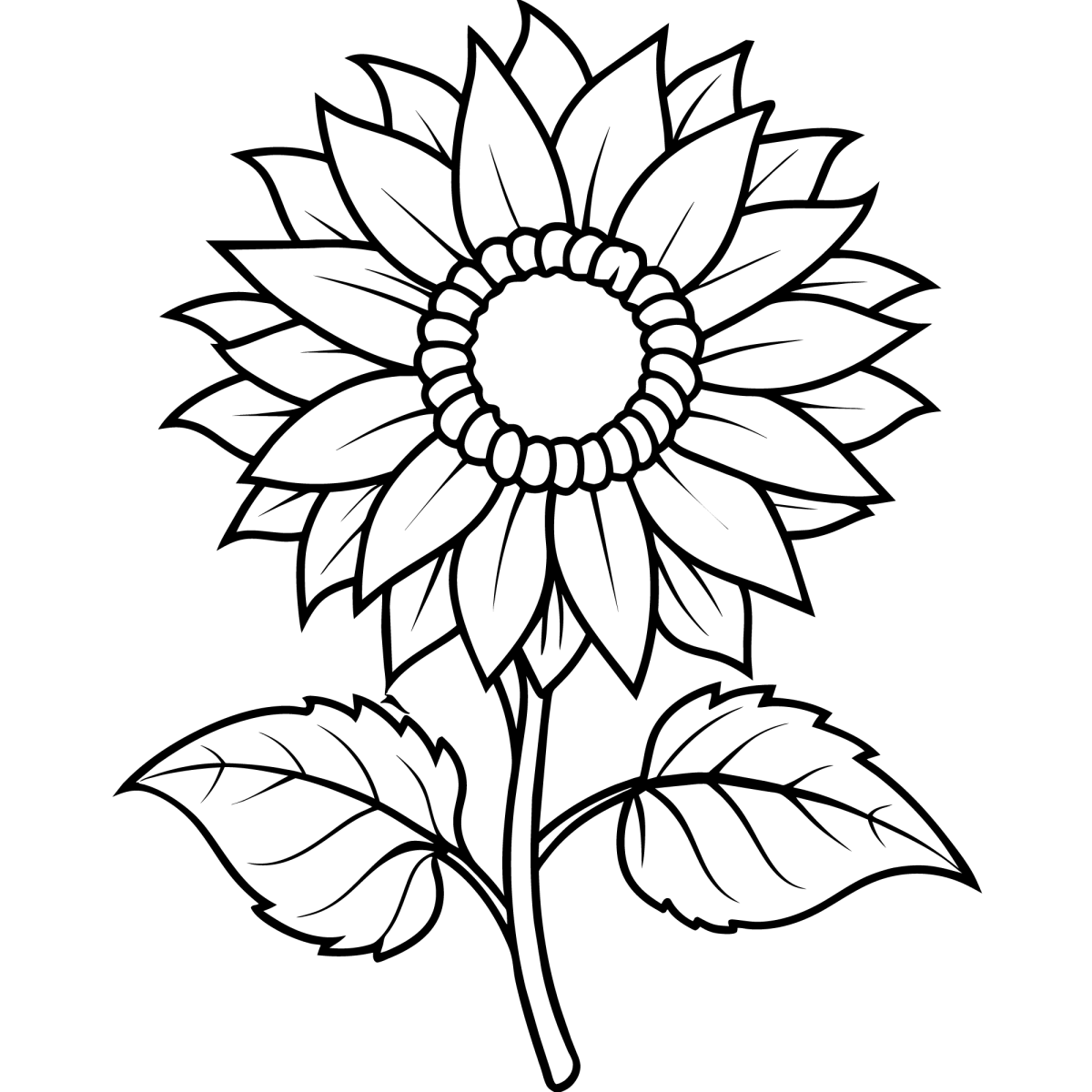 Girassol grande com folhas abertas para colorir