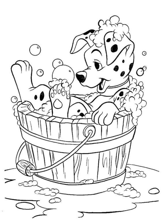 Hora do Banho com o Dalmatian