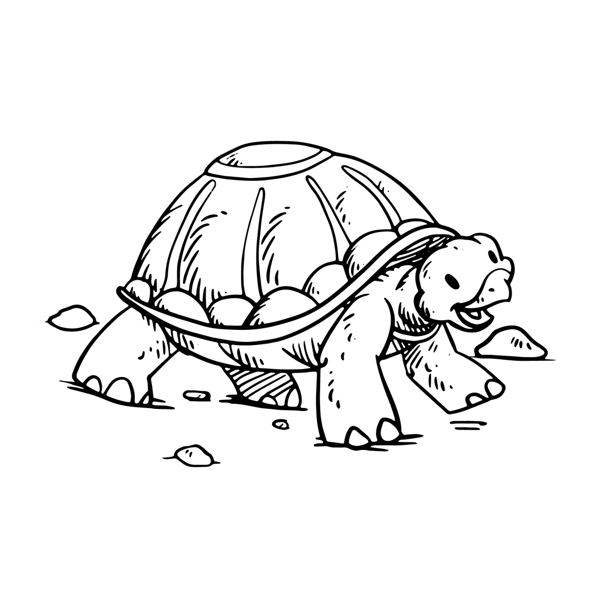 Jabuti passeando entre pedrinhas para colorir