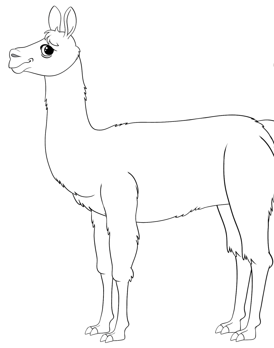 Lhama em pé de perfil para colorir