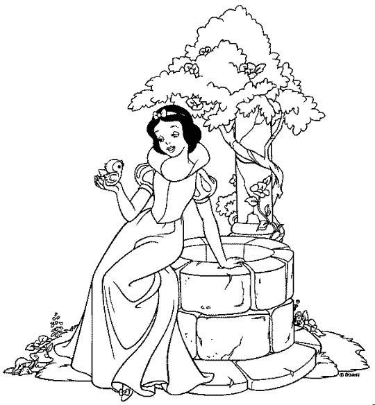 A Magia da Branca de Neve no Bosque Encantado