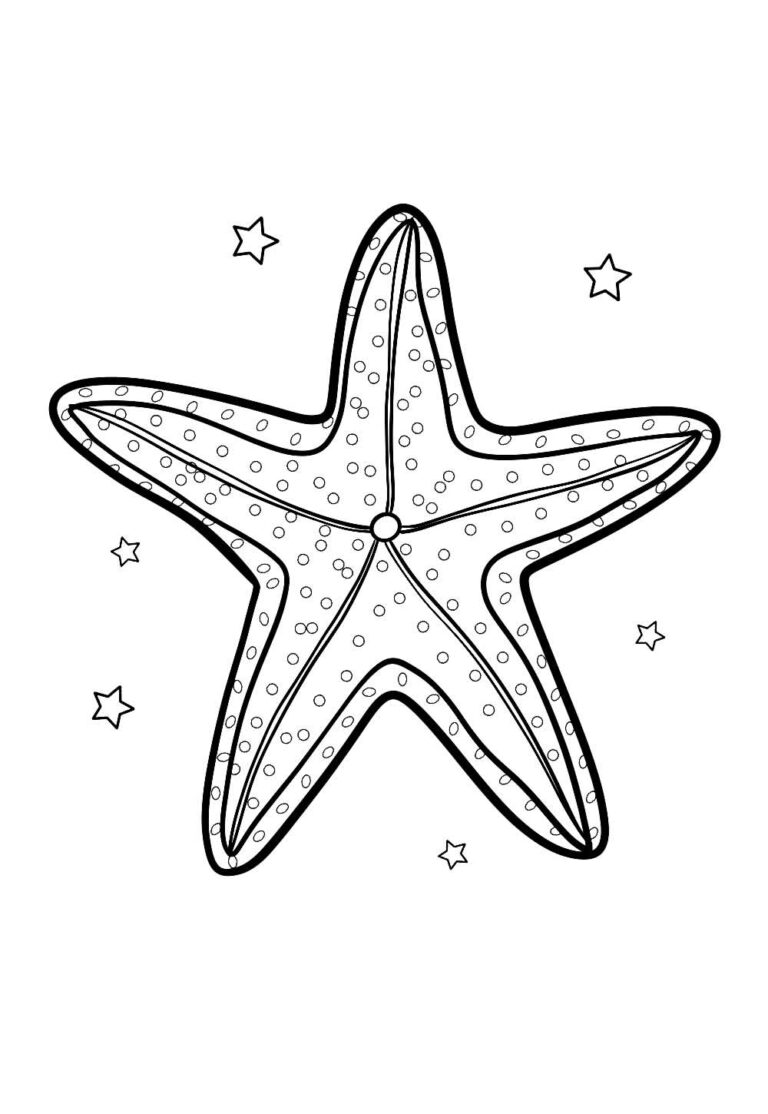 A Magia das Estrelas do Mar