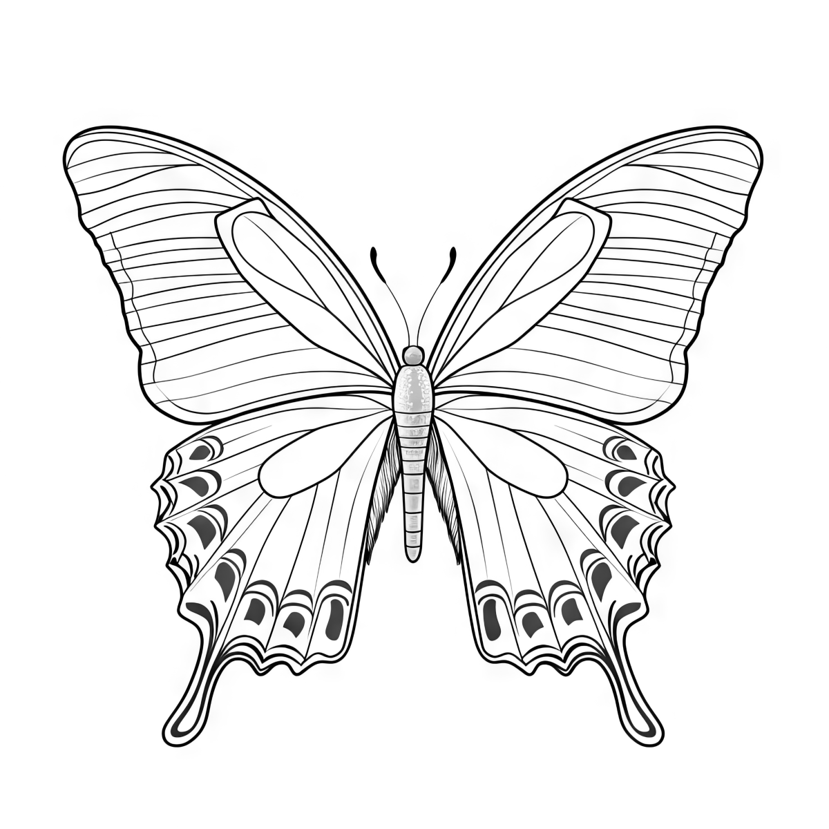 Majestic Butterfly Coloring Adventure