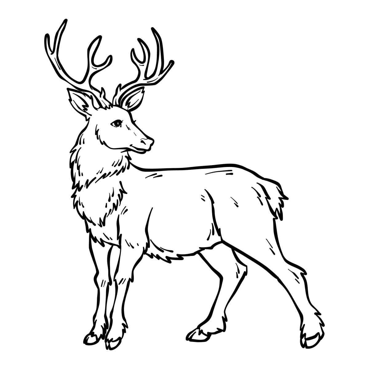 Majestic Deer Illustration