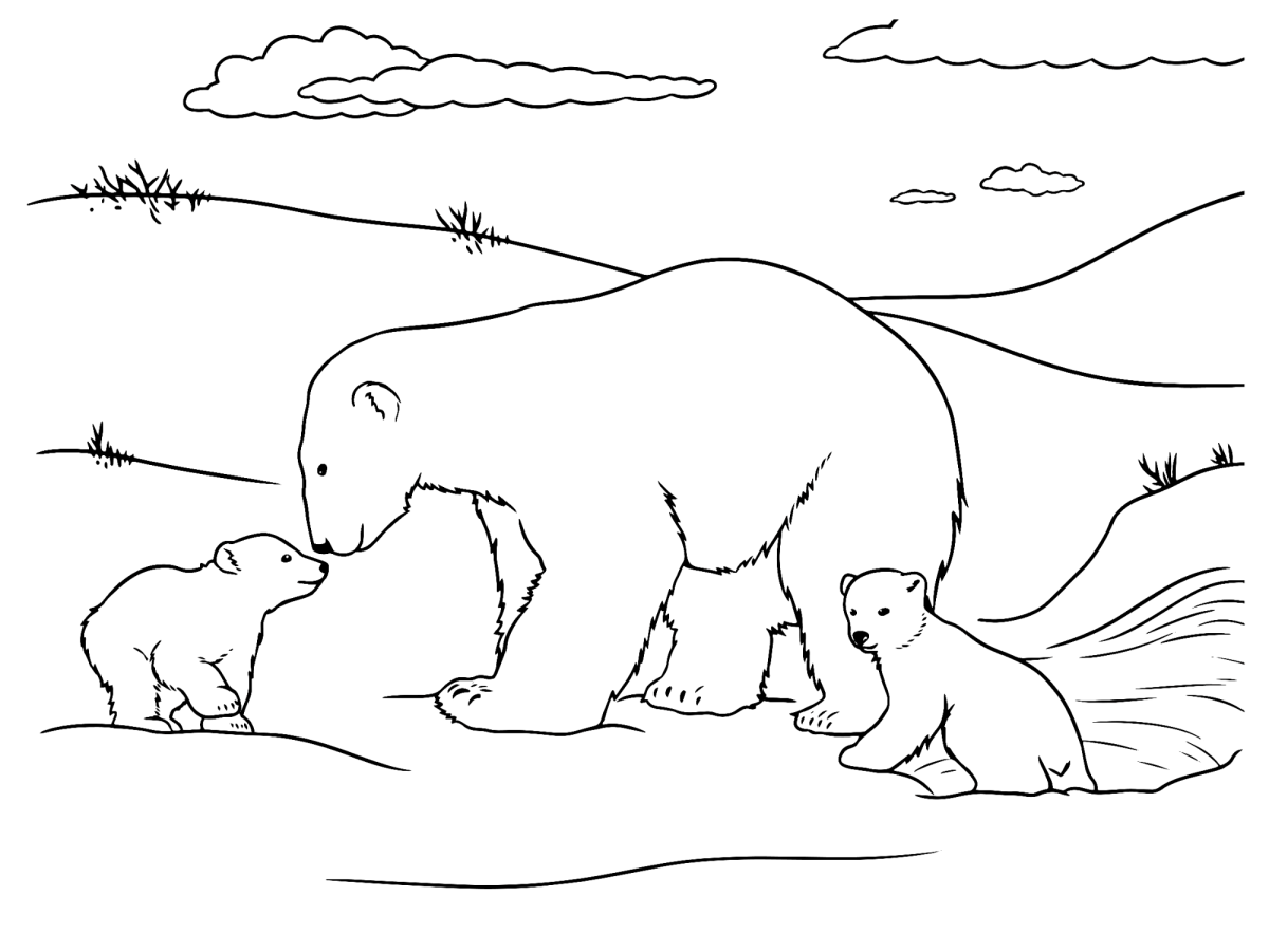 Mamãe ursa polar com o filhote na neve para colorir