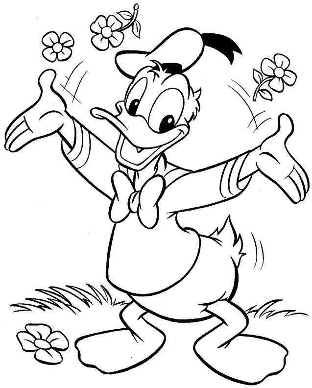 Pato Donald no jardim com flores para colorir