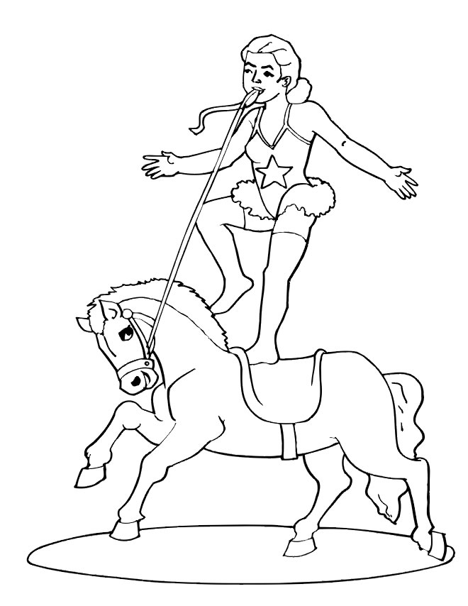 Performance Equestre Encantadora