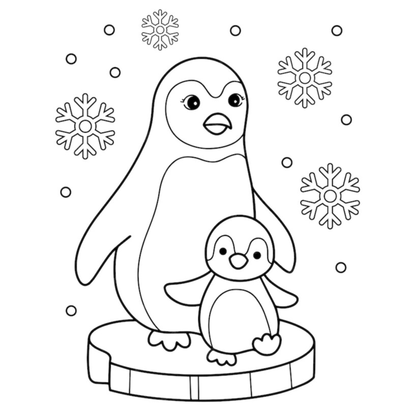 Pinguins na Neve