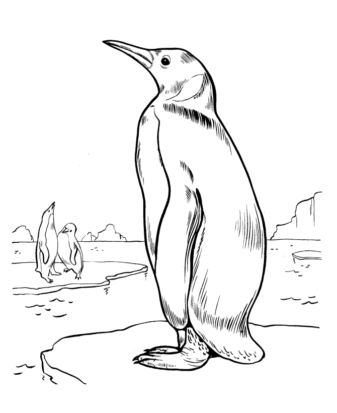 Pinguins no Ártico