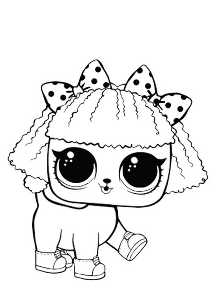 Poodle Fashionista Surpresa