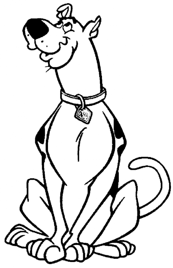 Scooby-Doo: Pronto para a Aventura Cativante!