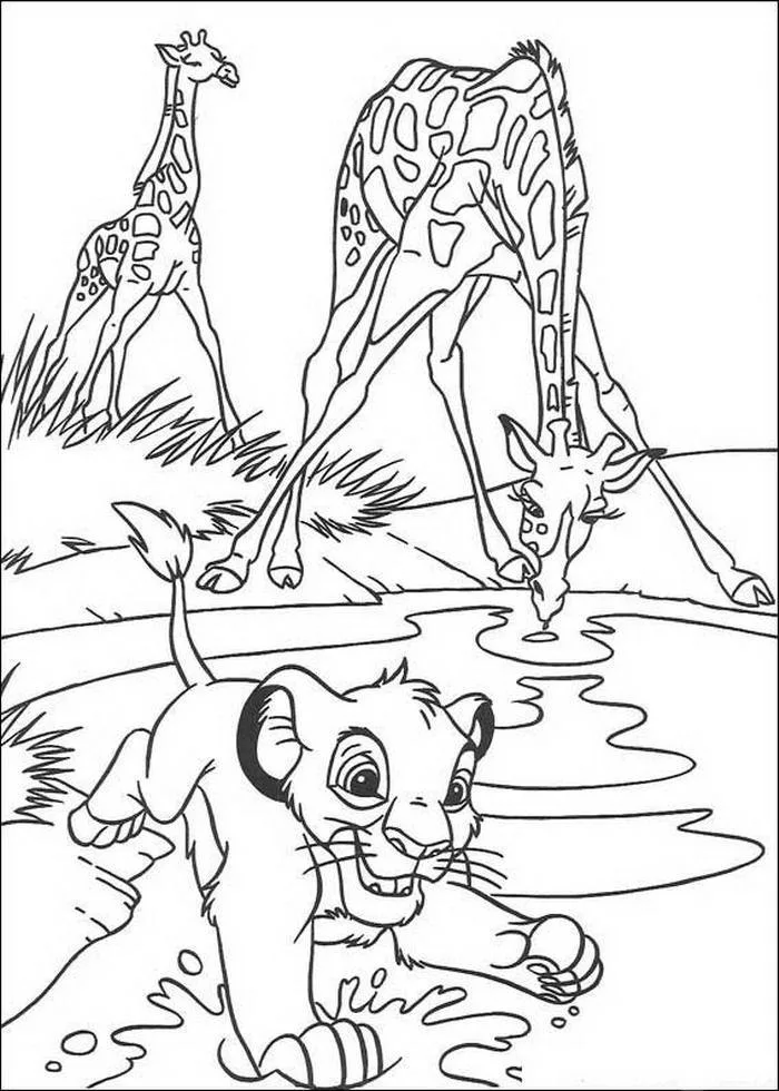 Simba e as girafas no lago para colorir