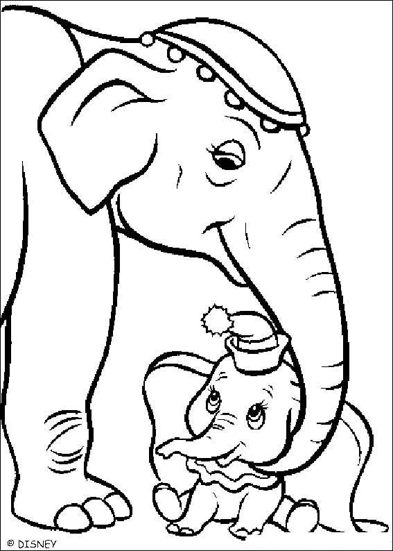 A Ternura de Dumbo e sua Mãe