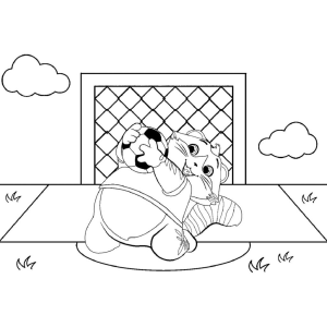44 Gatos: O Futebol do Felino