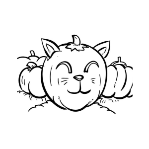 Abóboras Felinas de Halloween
