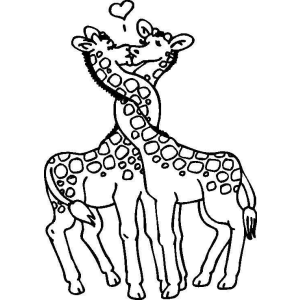 Amor nas Alturas: Girafas Apaixonadas
