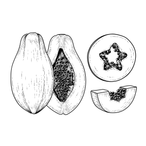Aquarela de Papaias: Arte Vitaminada