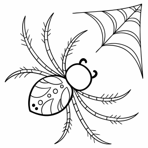 Aranha caminhando na teia para colorir