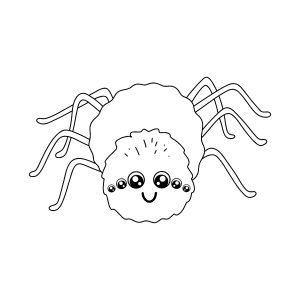 Aranha fofa e peluda para colorir
