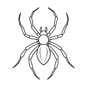 Aranha grande de patas longas para colorir