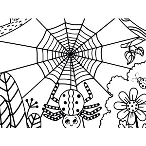 Aranha na teia entre as flores para colorir