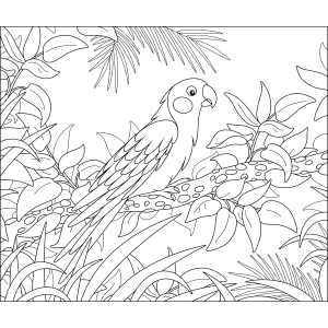 Arara escondida na floresta para colorir