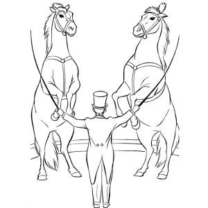 Arte Equestre no Picadeiro