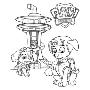 Aventura Canina com a Patrulha Pata