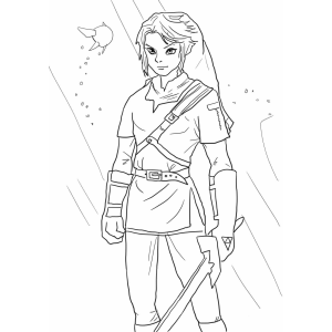 Aventura com Link e Navi