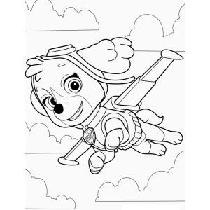 Aventura nas Alturas com Skye