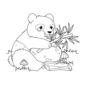 Aventura de um Panda Fofo