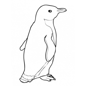 A Aventura do Pinguim Colorido