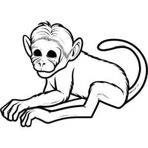Aventura em Preto e Branco: O Macaco Relaxado