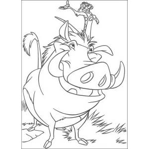 Aventura com Timão e Pumba