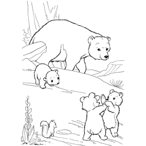 Aventura de Ursinhos na Floresta