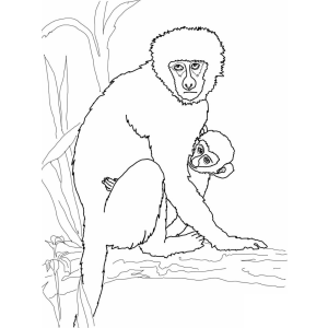 Aventuras da Família de Macacos