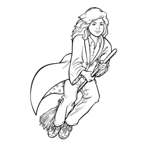 Aventuras de Hermione no Voo