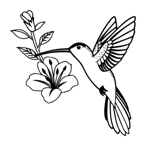 Beija-flor em Harmonia