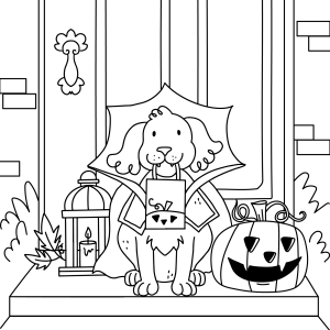 Cachorrinho de chapéu de bruxa na porta de casa para colorir