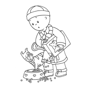 Caillou e seu Gato Divertido